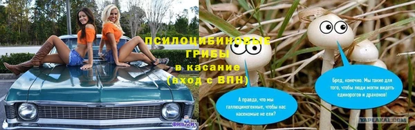 ГАЛЛЮЦИНОГЕННЫЕ ГРИБЫ Мегион
