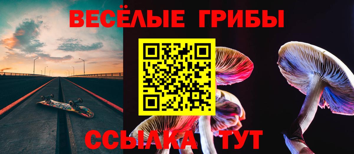 Галлюциногенные грибы GOLDEN TEACHER  купить   Красногорск  Вход с VPN 
