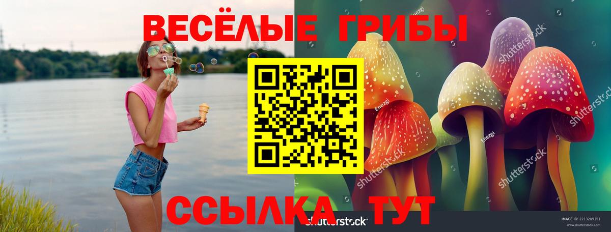Псилоцибиновые грибы GOLDEN TEACHER Красногорск